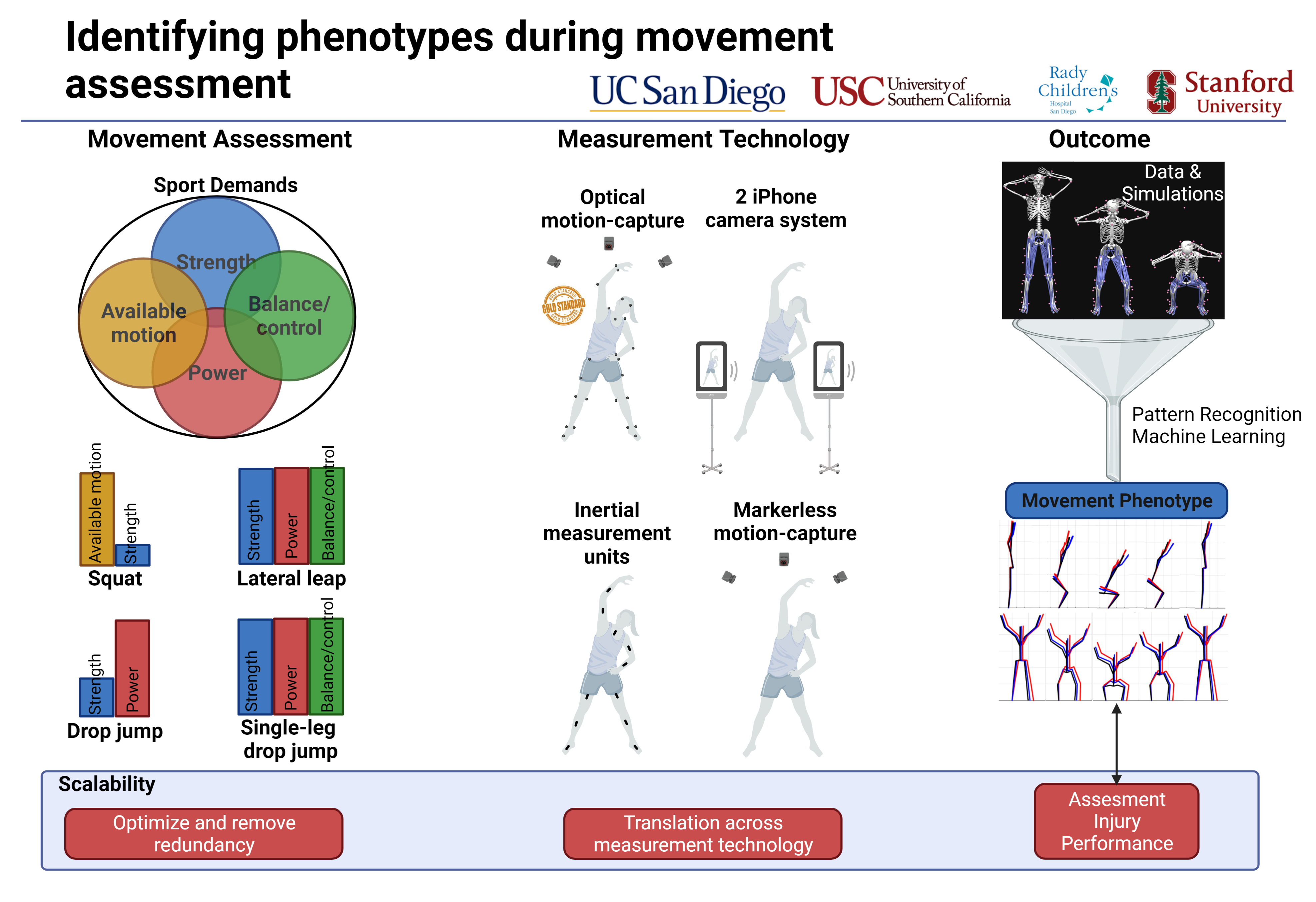 Identifying Phenotypes During Movement Assessment Human Performance